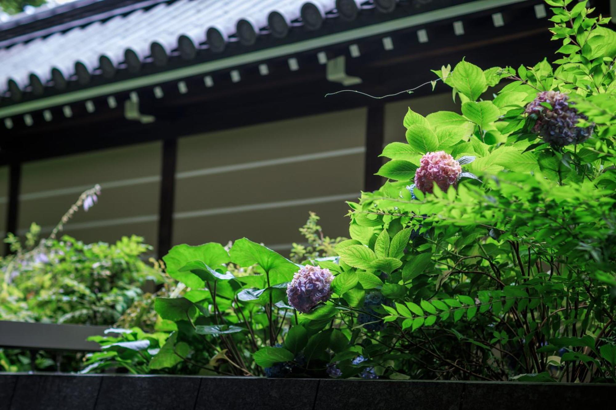 Hotel Okura Kyoto Okazaki Bettei 외부 사진